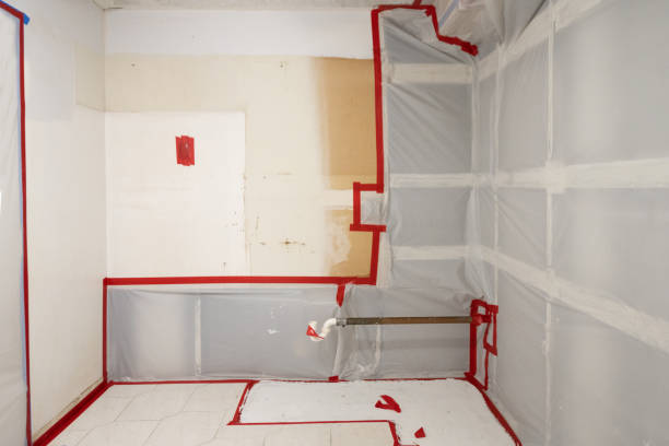 Mold Remediation for Rental Properties in Stokesdale, NC