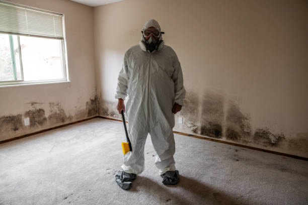 Best Mold Odor Removal Services  in Stokesdale, NC